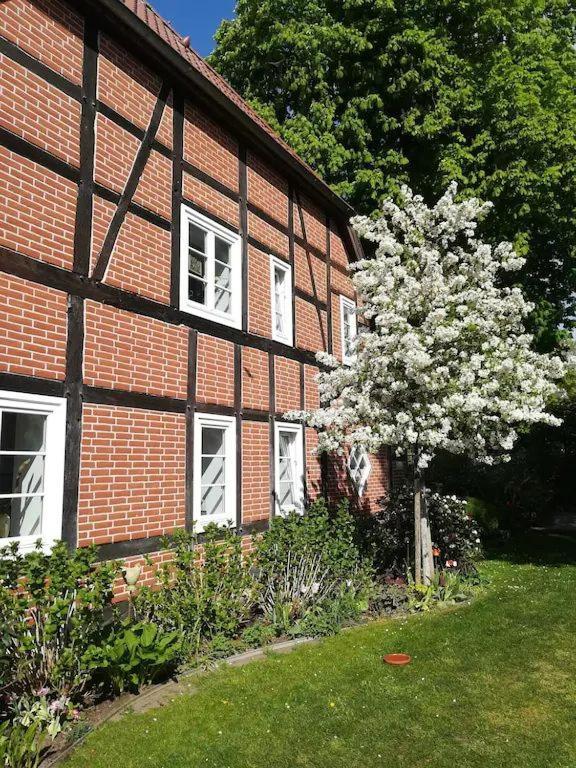 Apartment In Ruhiger Wohnlage Sie Sind In 3 Minuten Am Trebbower See Oder In 30 Minuten An Der Ostsee Klein Trebbow Exterior photo